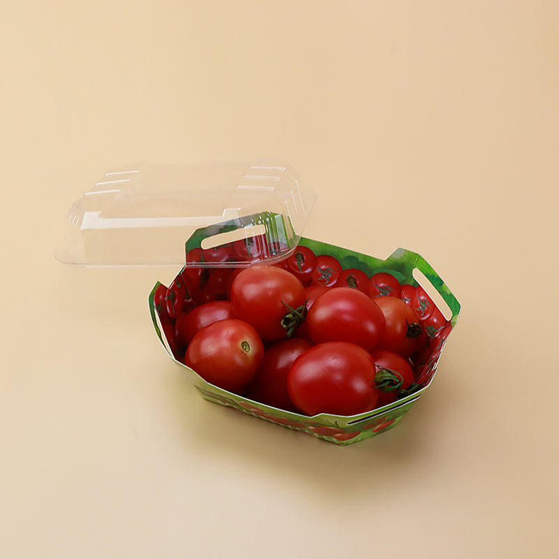 Προσαρμοσμένα πλαστικά κουτιά από χαρτόνι για δοχείο συσκευασίας φρούτων με καπάκι με καπάκι