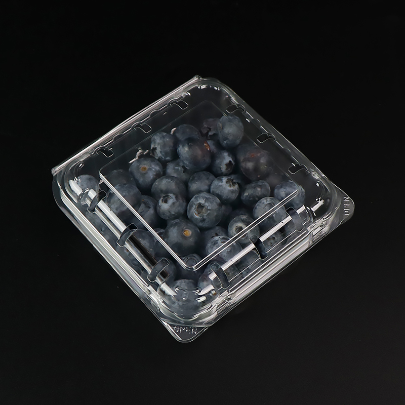 Blueberry Box Fruit Box με καπάκι 103*108*42 mm HGF-125B