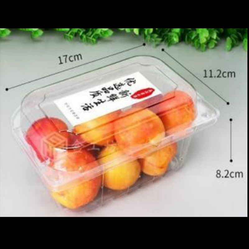 Κουτί φρούτων με καπάκι 170*112*82 mm HGF-300L