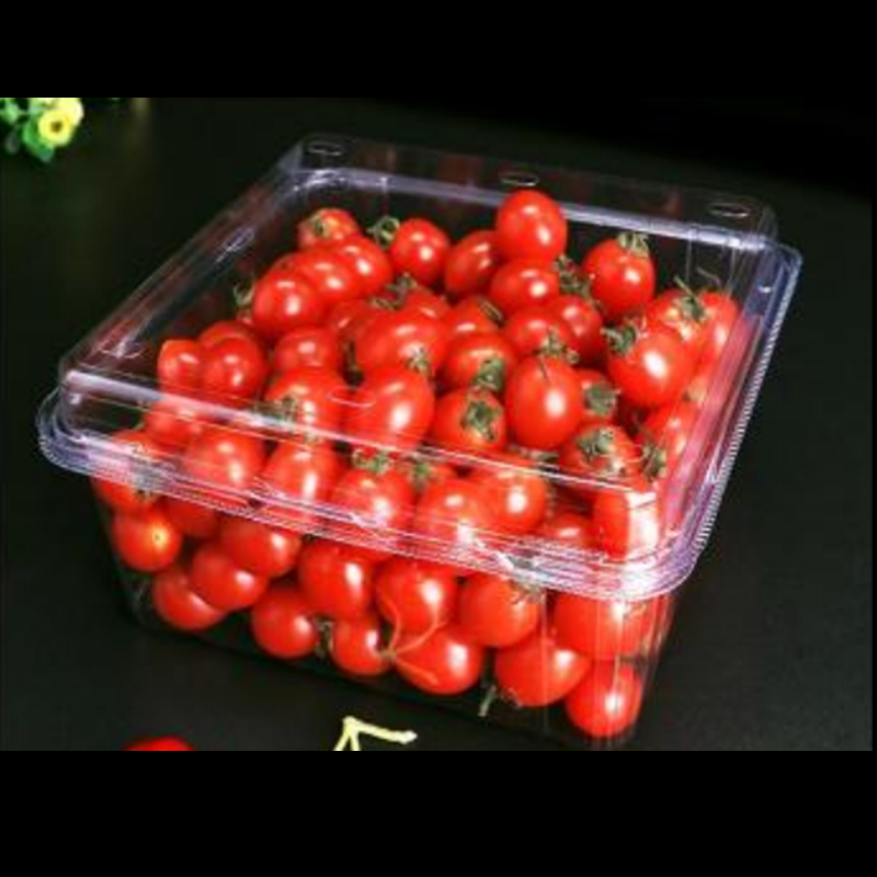 Κουτί φρούτων με καπάκι 175*175*90 mm HGF-1000G