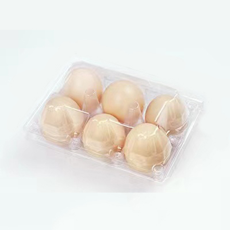 Δίσκο αυγών 155*105*65 mm 6 αυλακώσεις