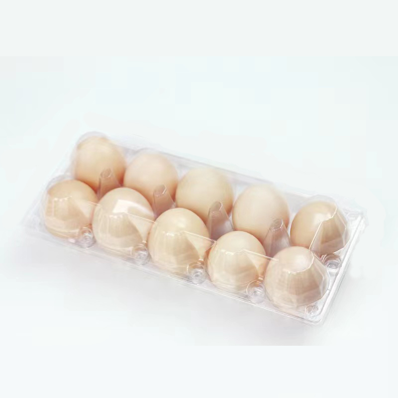 Δίσκο αυγών (μεγάλο) 270*113*70 mm 10 αυλακώσεις