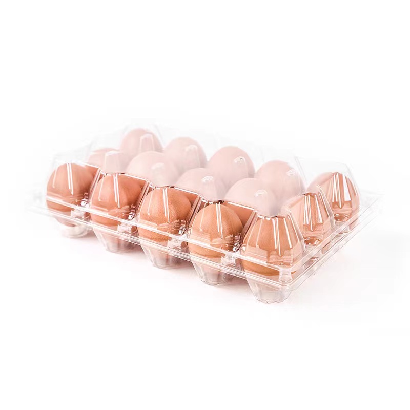 Δίσκο αυγών 245*150*67 mm 15 αυλακώσεις 42 g